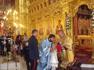 mass7