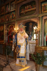 IMG_9365 IMG_9365