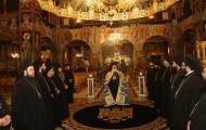 IMG_1417 IMG_1417