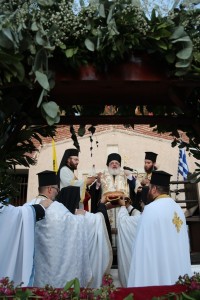 IMG_0297 IMG_0297
