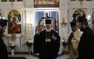 IMG_0516 IMG_0516